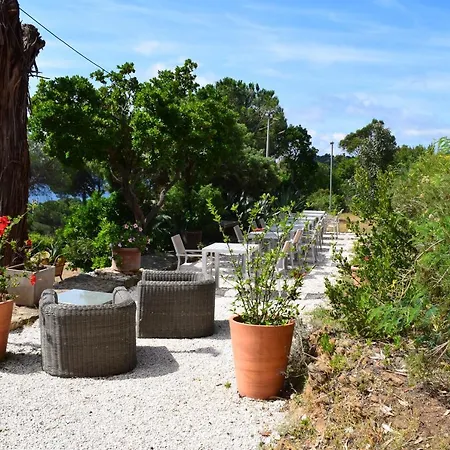 Hotell Azur Le Lavandou