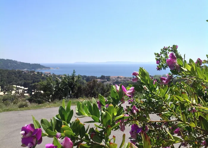 Azur Le Lavandou